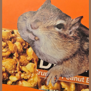 High Protein Diet Print