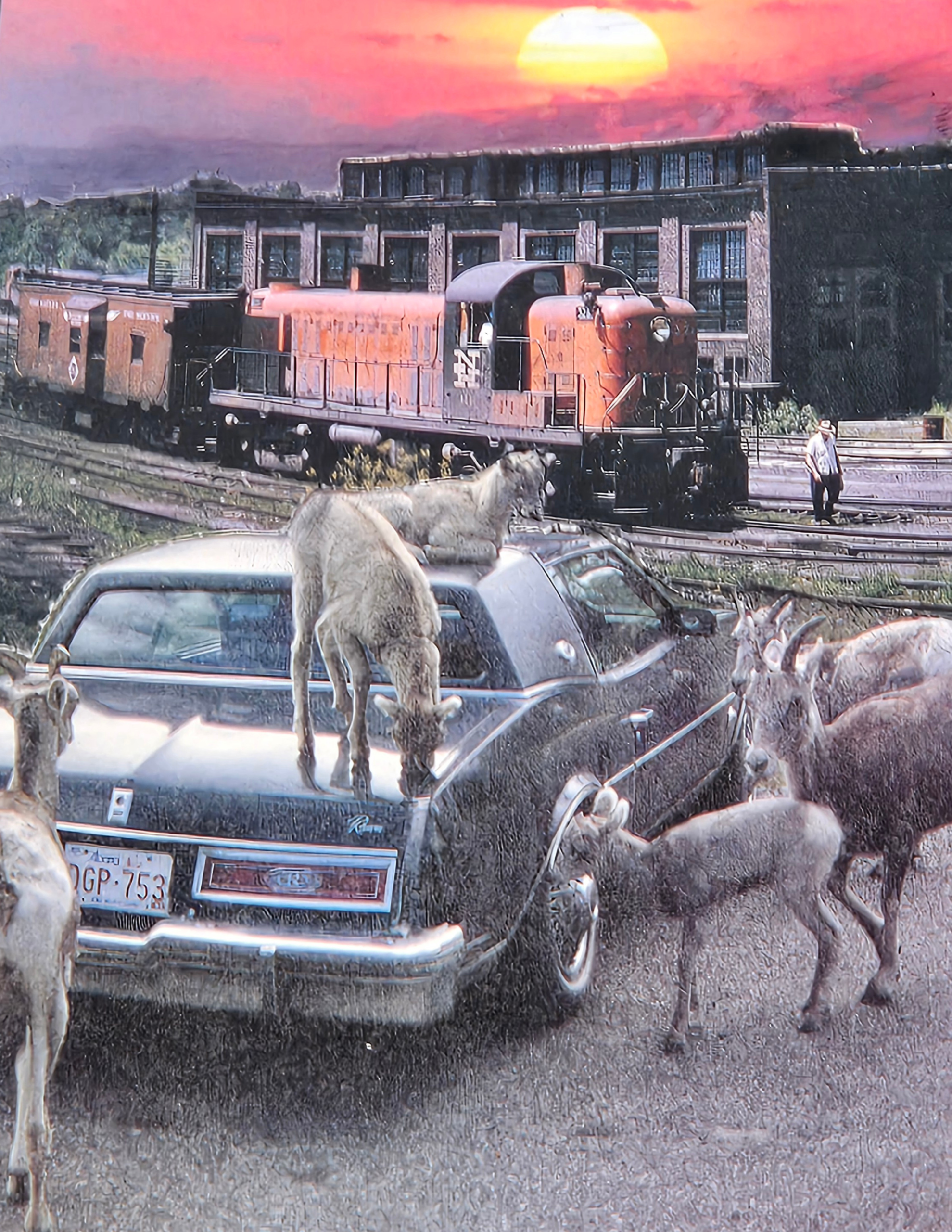 Goats N Transportation